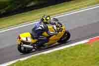 Lower Group Yellow Bikes